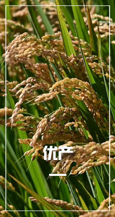 佰冠舞臺(tái)燈光設(shè)備